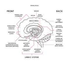 업로드된 이미지